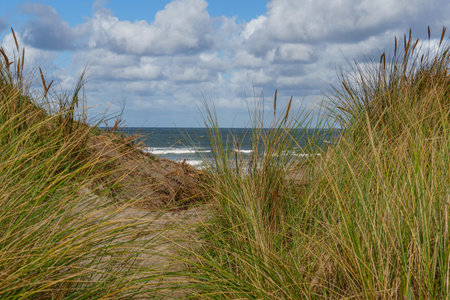 the island of Vlieland in the Netherlands