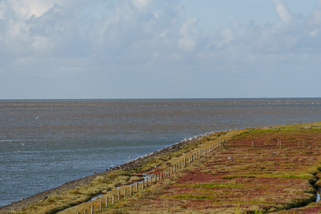 the island of Vlieland in the Dutch North Sea