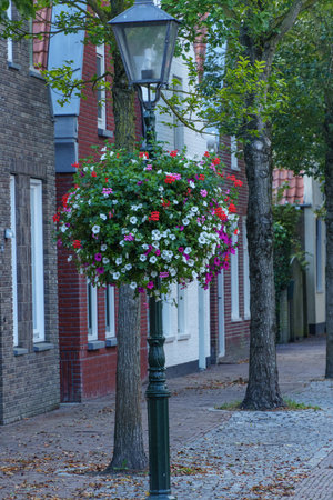the island of Vlieland in the Dutch North Seaの写真素材
