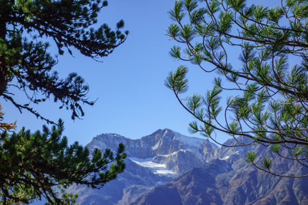 autumn time in Switzerlandの写真素材