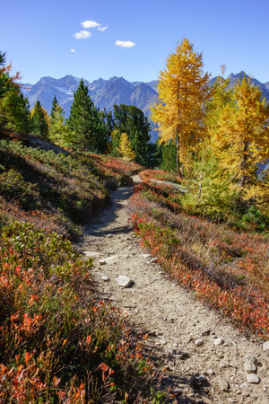 autumn time in Switzerlandの写真素材