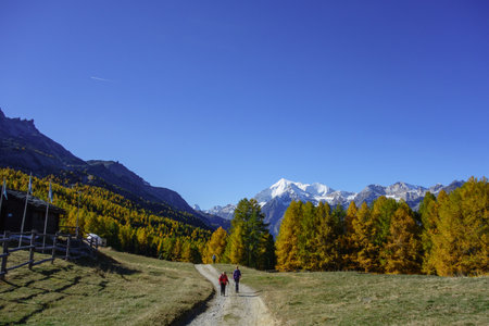 autumn time in Switzerlandの写真素材