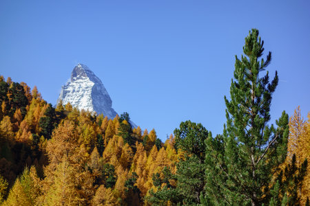 autumn time in Switzerlandの写真素材