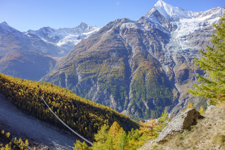 autumn time in Switzerlandの写真素材