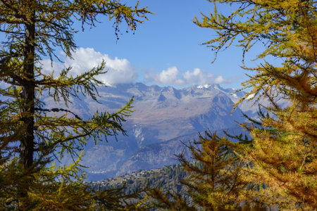 autumn time in Switzerlandの写真素材