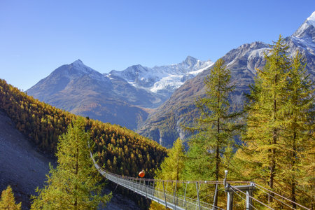 autumn time in Switzerlandの写真素材