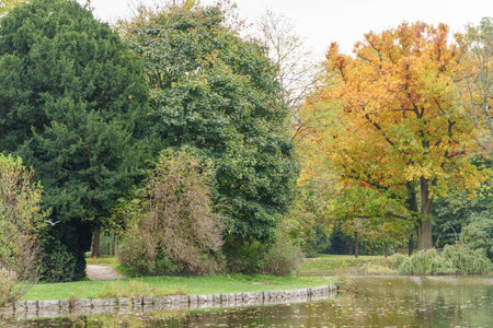 the city of Wiesbaden at the rhine river in Germanyの写真素材