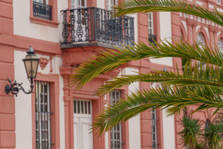 the city of Wiesbaden at the rhine river in Germanyの写真素材