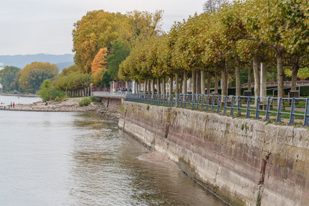 the city of Wiesbaden at the rhine river in Germanyの写真素材
