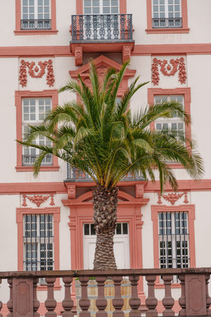 the city of Wiesbaden at the rhine river in Germanyの写真素材