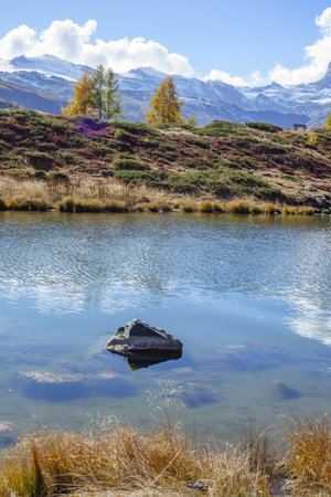 autumn time in Switzerlandの写真素材