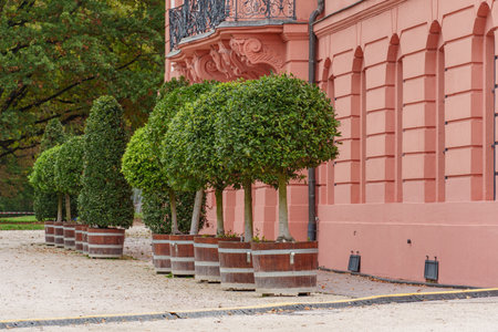 the city of Wiesbaden at the rhine river in Germanyの写真素材