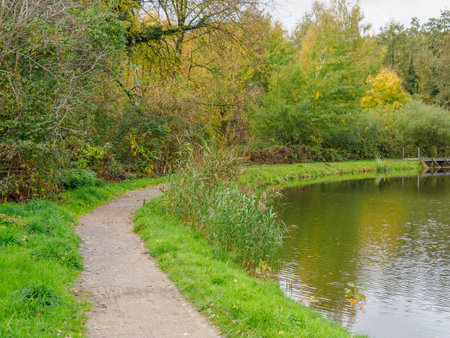 Autumn time in Raesfeldの写真素材