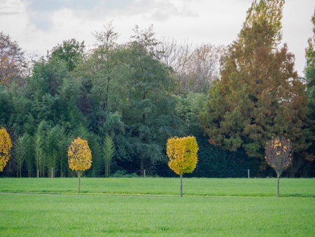 Autumn time in the German Westphaliaの写真素材