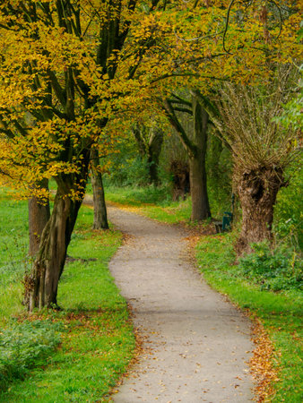 autumn time in westphaliaの写真素材