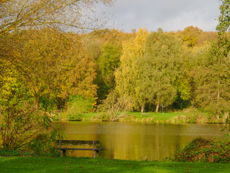 autumn time in westphaliaの写真素材