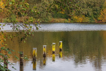 autumn time in westphaliaの写真素材