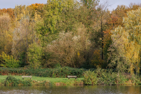 autumn time in westphaliaの写真素材