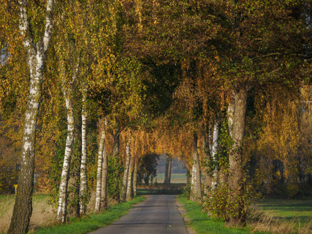 autumn time in westphaliaの写真素材