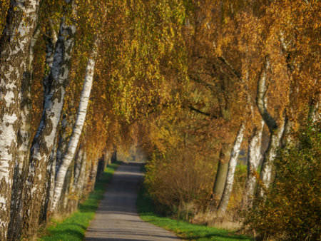 autumn time in westphaliaの写真素材