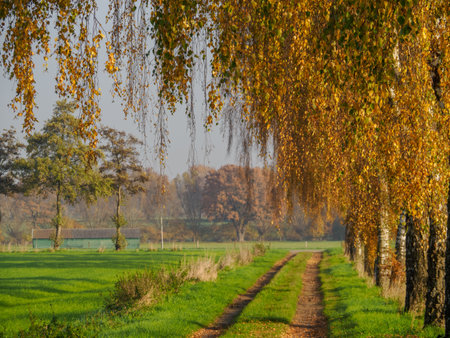 autumn time in westphaliaの写真素材