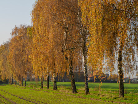 autumn time in westphaliaの写真素材