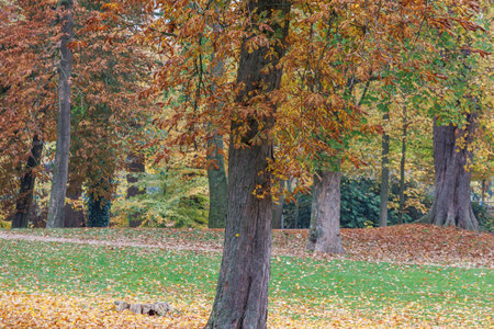 autumn time in westphalia