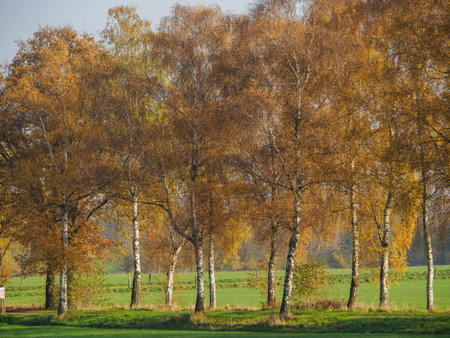 autumn time in westphaliaの写真素材
