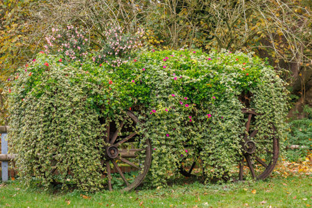 Autumn time in the German Muensterlandの写真素材