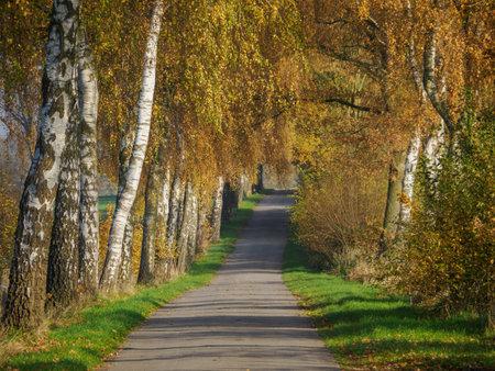 Autumn time in the German Muensterlandの写真素材