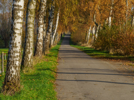 Autumn time in the German Muensterlandの写真素材