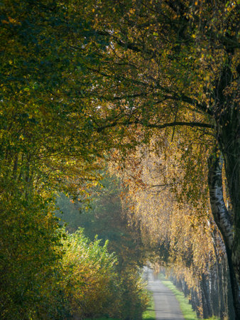 Autumn time in the German Muensterlandの写真素材