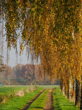Autumn time in the German Muensterlandの写真素材