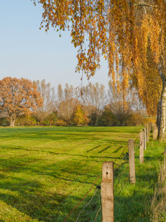 Autumn time in the German Muensterlandの写真素材
