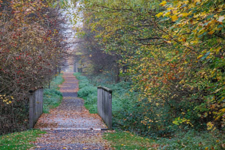 Autumn time in the Muensterland