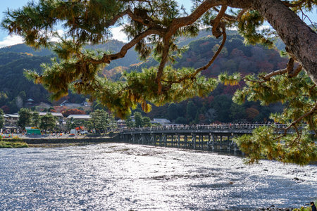 Kyoto in Japan at autumn timeの写真素材