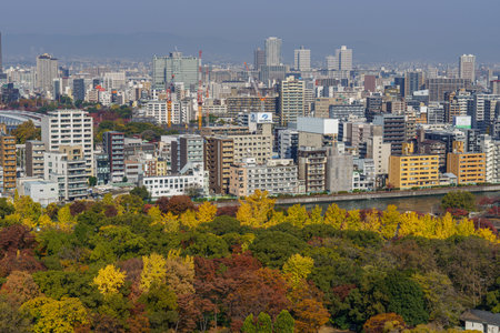 the city of osaka in japan at autumn timeの写真素材