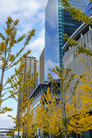the city of osaka in japan at autumn timeの写真素材