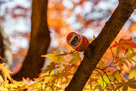 the city of osaka in japan at autumn timeの写真素材