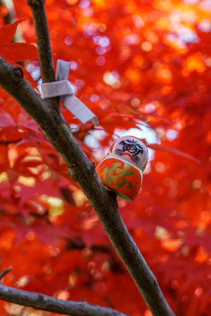 the city of osaka in japan at autumn timeの写真素材