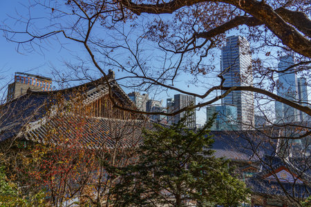 Seoul city in south koreaの写真素材