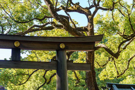the city of osaka in japan at autumn timeの写真素材