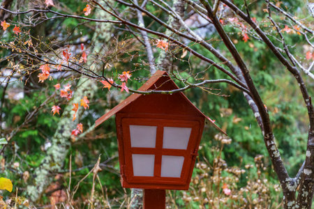 Tokyo and Mount Fuji in Japanの写真素材