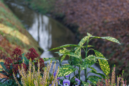 village at christmas timeの写真素材