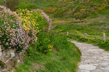 at the coast of Cornwall