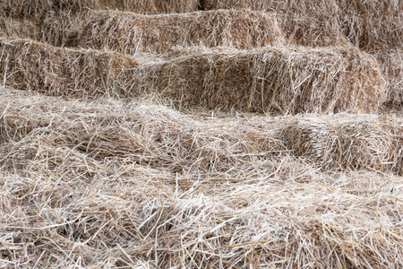 the stack in the barnyard