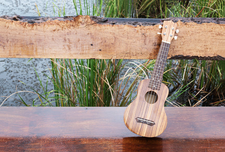 The ukulele on the wooden benchの写真素材
