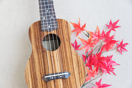 The ukulele with japan maple leaf on paper background