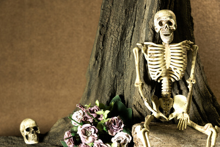Still life with human skull and flowers under the tree, love story set, from now on, I will always obey youの写真素材