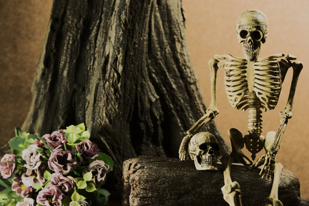 Still life with human skull and flowers under the tree, love story set, we'll be together foreverの写真素材